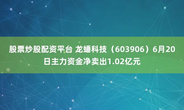 股票炒股配资平台 龙蟠科技（603906）6月20日主力资金净卖出1.02亿元