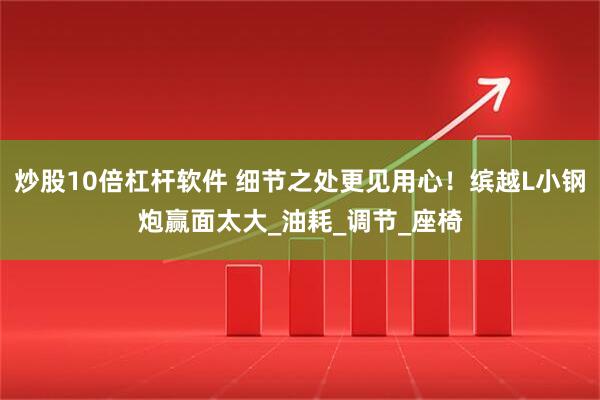 炒股10倍杠杆软件 细节之处更见用心！缤越L小钢炮赢面太大_油耗_调节_座椅
