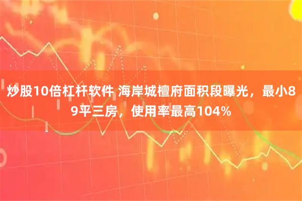 炒股10倍杠杆软件 海岸城檀府面积段曝光，最小89平三房，使用率最高104%