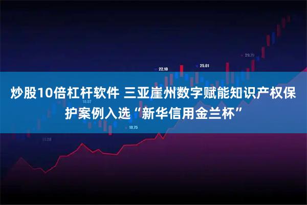 炒股10倍杠杆软件 三亚崖州数字赋能知识产权保护案例入选“新华信用金兰杯”