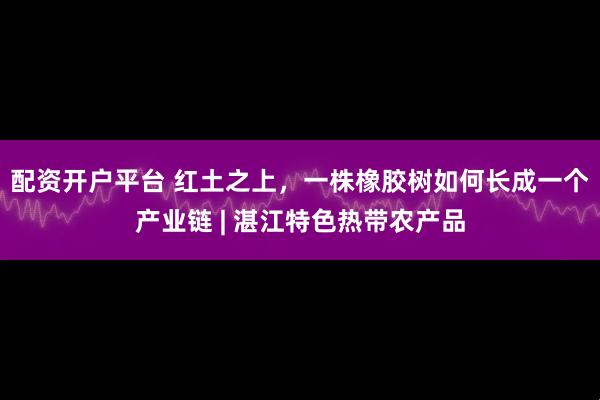 配资开户平台 红土之上，一株橡胶树如何长成一个产业链 | 湛江特色热带农产品