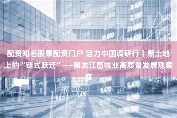 配资知名股票配资门户 活力中国调研行｜黑土地上的“链式跃迁”——黑龙江畜牧业高质量发展观察